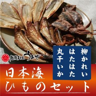 日本海干物セット
